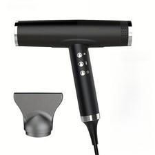 1450W Professional Ionic Hair
